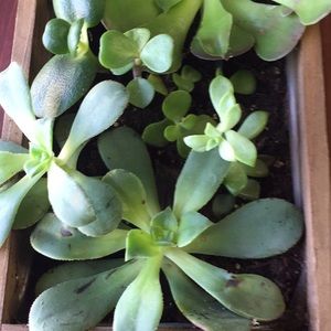 Meet your Posher, Maryam